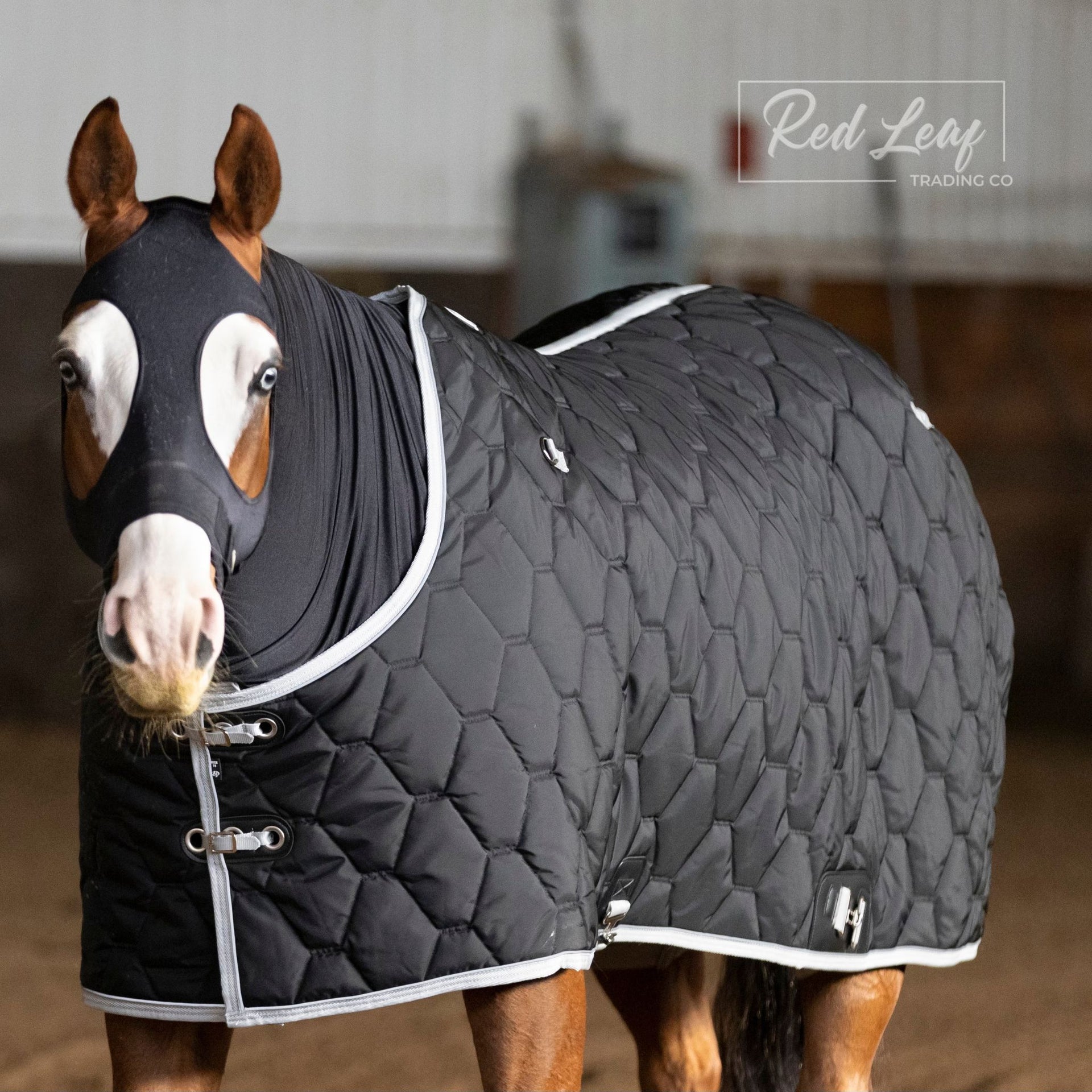 Quilted Stable Blanket – Red Leaf Trading Co